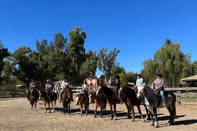 Guided 2 Hour Horseback Ride Catalina State Park Coronado Forest - Inclusions and Whats Provided