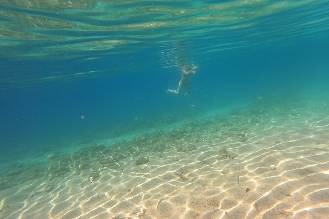 Guided All Day Tour to Coastline (Syvota) - Expert Tour Guide
