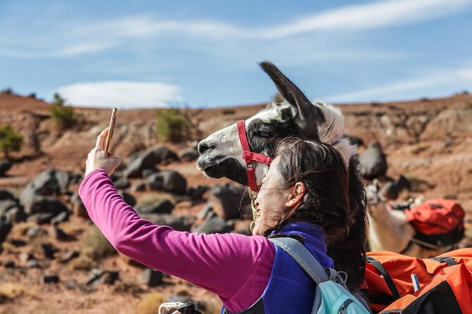 Guided Awesome 2-Hour Llama Hikes Private Experience - Inclusions and Transportation