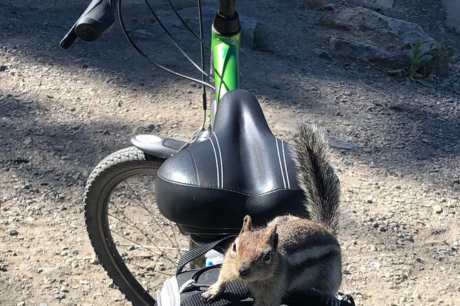 Guided Bike Tour on Historical Kettle Valley Railway at Myra Canyon & Wine Tour - Historical Background