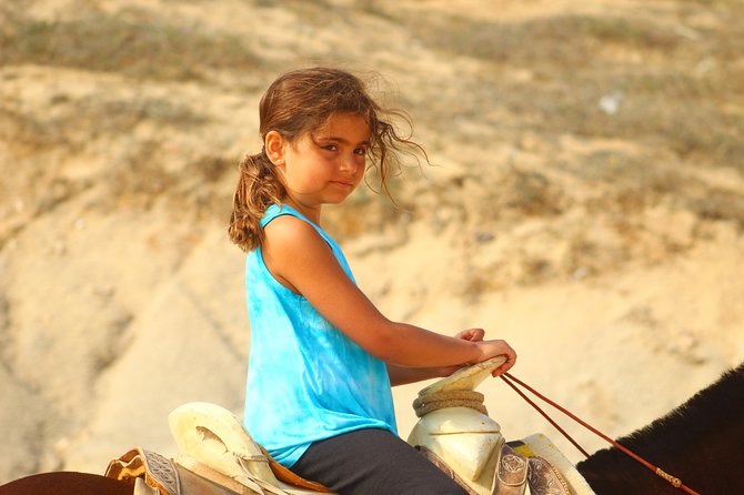Guided Cabo Horseback Ride With Hotel Pickup  - Cabo San Lucas - Pickup and Transportation