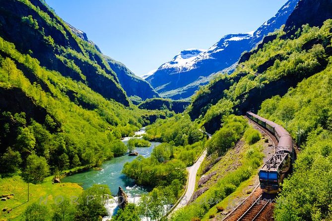 Guided Day Tour to Flåm - Grand Sognefjord Cruise & Flåm Railway - Overview of the Grand Sognefjord Cruise & Flåm Railway Tour