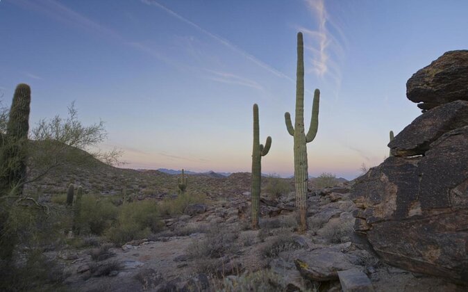 Guided Desert Sunrise or Evening/Sunset 2-Hour Hike at South Mtn - Meeting and Pickup