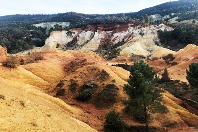 Guided Discovery of Ocher - 1/2 Day - Electric Bike - Accessibility and Health Considerations