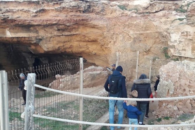 Guided Excursion Cap-Bon From Hammamet - Reviews and Ratings