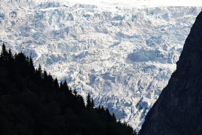 Guided Fjord and Glacier Tour From Voss - Inclusions