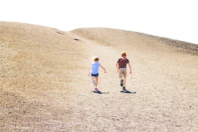 Guided Full-Day Tour to Craters of the Moon National Monument & Preserve - Questions and Support