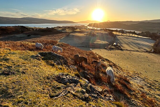 Guided Hebridean Farm Hike Near Tobermory, Isle of Mull, Scotland - The Sum Up