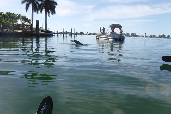 Guided Kayak Eco Tour - Bunche Beach - End Point and Cancellation Policy