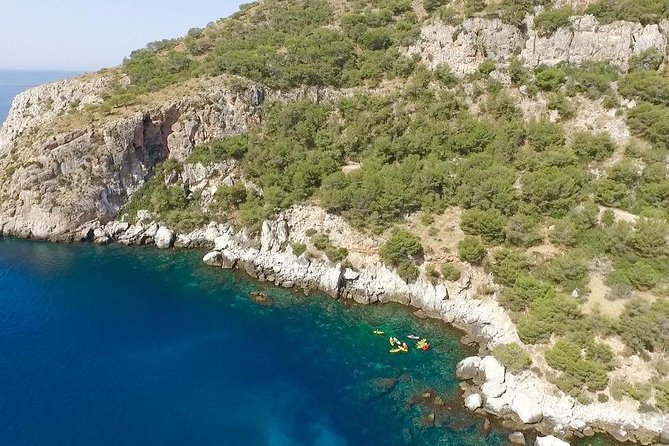 Guided Kayak Route Through the Natural Area of La Herradura - Highlights of the Natural Area
