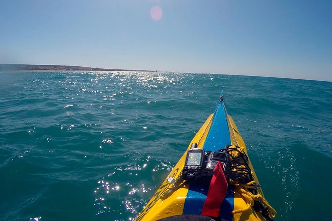 Guided Kayak Tour and Paella Lunch at the Beach in Valencia - Meeting and Pickup