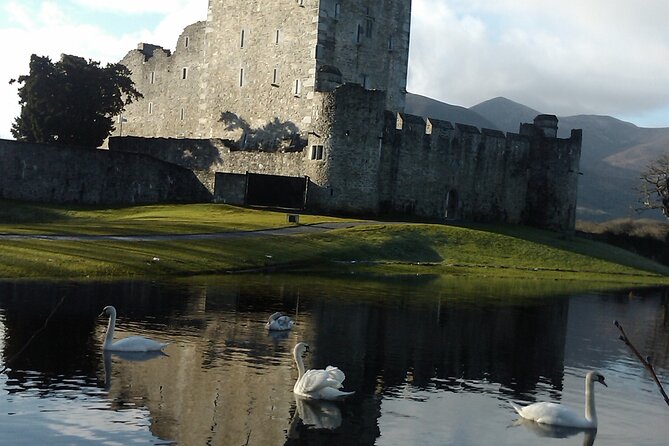 Guided Killarney National Park Walking Tour - Tour Experience