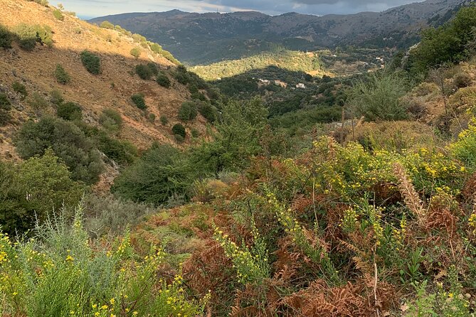 Guided Mountain Day Trip With Lunch and Wine - Scenic Hiking Routes and Landscapes