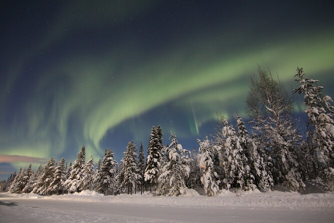 Guided Northern Lights Tour at Kiruna - Additional Information