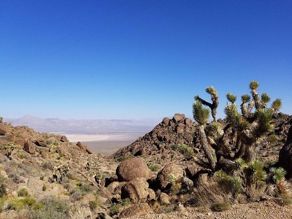 Guided or Self-Guided Road Bike Tour of Red Rock Canyon - Overview of the Tour
