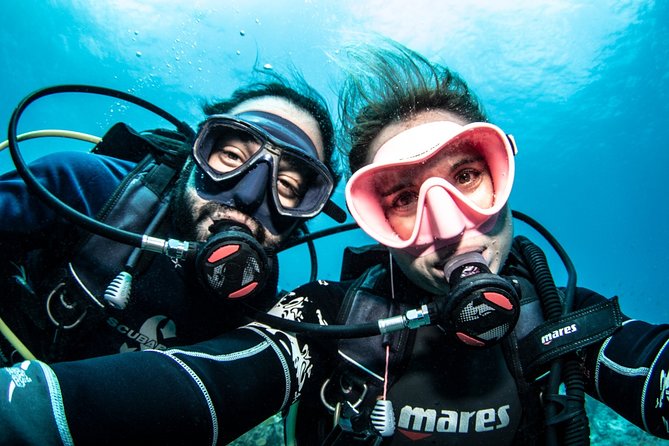 Guided Shore Dive for Certified Divers With Scubaçao (2 Tank) - Additional Resources and Assistance