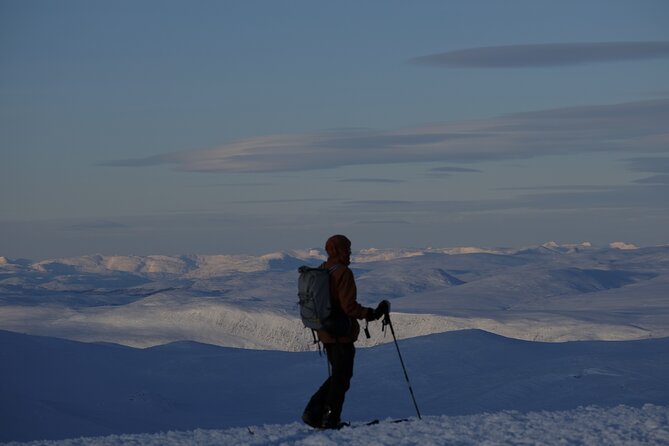 Guided Ski Touring in Ammarnäs - Selecting Date and Travelers