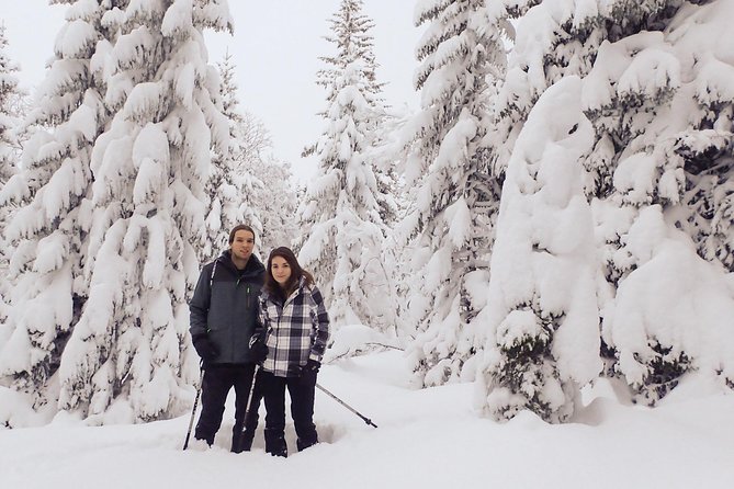 Guided Snowshoe Walk on Tromsoya Island in Tromso - Meeting and Pickup Information