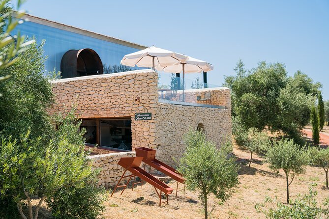 Guided Tour and Olive Oil Tasting in Ronda - Accessibility and Participation Information