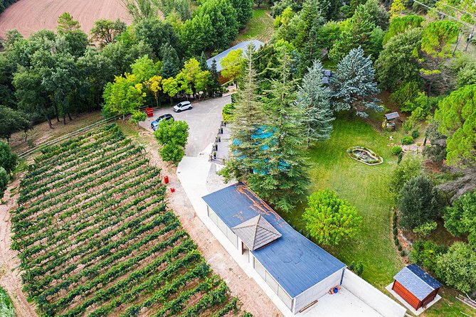 Guided Tour and Wine Tasting - Cancellation Policy