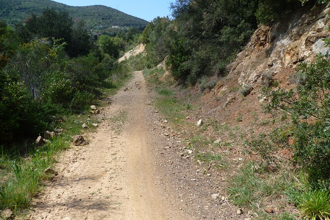 Guided Tour by E-Bike Rio Marina Mining Museum - Meeting and Pickup Information