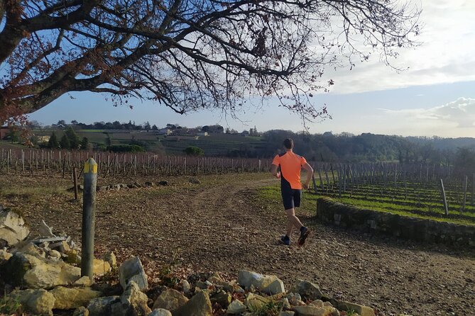 Guided Tour of the Vineyard of Saint Emilion En Courant - Food and Refreshments