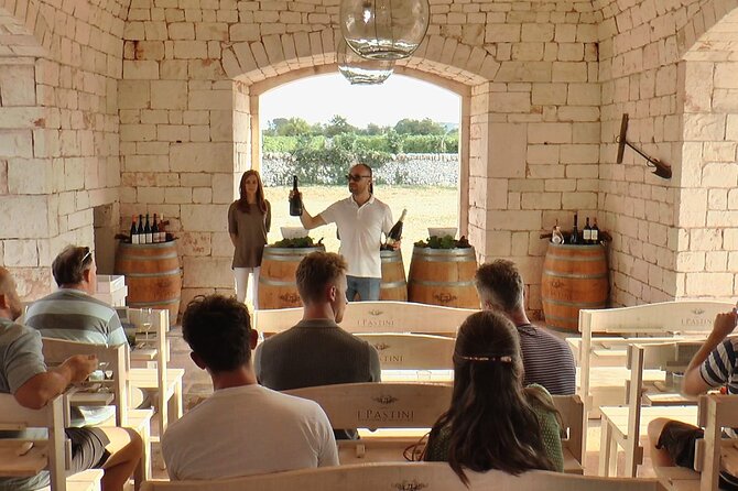 Guided Visit to the Vineyard With Wine Tasting - Assistance and Information