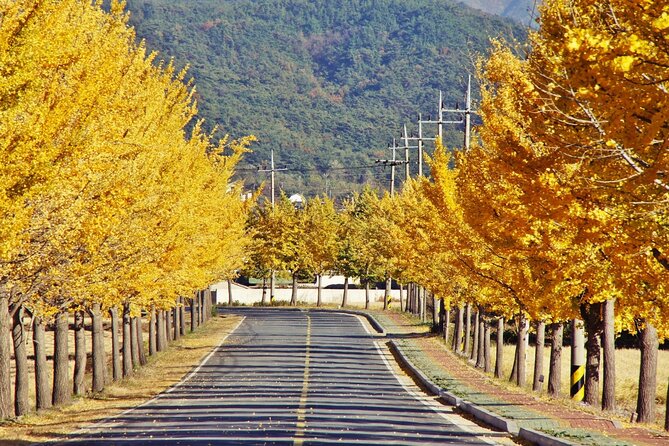 Gyeongju Maple Tour From Busan - Itinerary Overview
