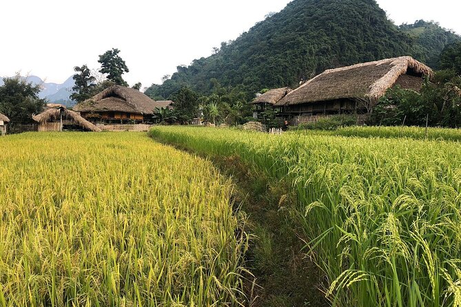Ha Giang Comfort Car Ride 4D3N - Weather and Cancellation Policy