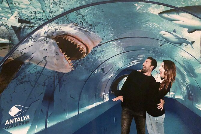 Half Day Antalya Aquarium Tour And Wax Museum - Tour End Information