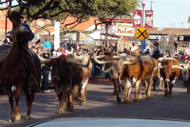 Half-Day Best of Fort Worth Historical Tour With Transportation From Dallas - Tour Details