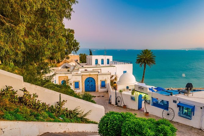 Half-Day Carthage, Sidi Bou Said Private Tour From Tunis or Hammamet - Traveler Reviews