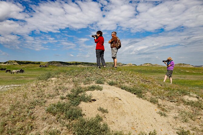 Half Day Chasing Horses Wildlife Photography Experience in North Dakota - Inclusions and Meeting Information