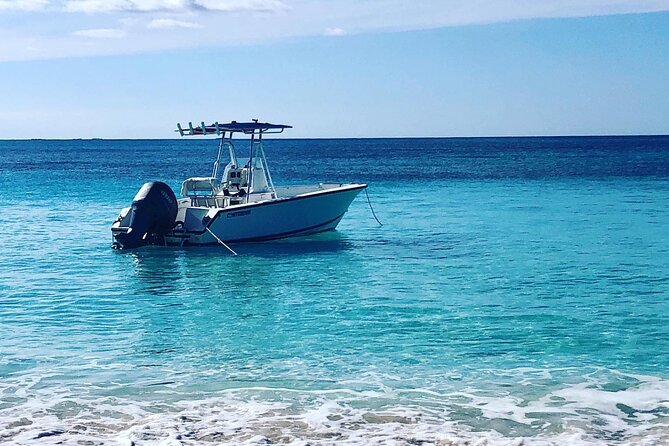 Half-Day Cruise of Rose Island With Snorkeling - Copyright and Terms & Conditions