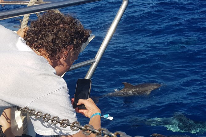 Half-Day Cruise Tour-Dolphin and Whale Watching - On-Board Facilities and Amenities
