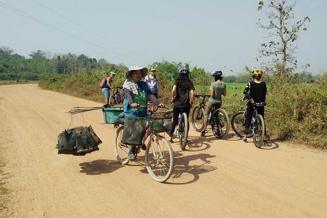Half Day Cycling Tour to the White Temple - Traveler Photos and Reviews