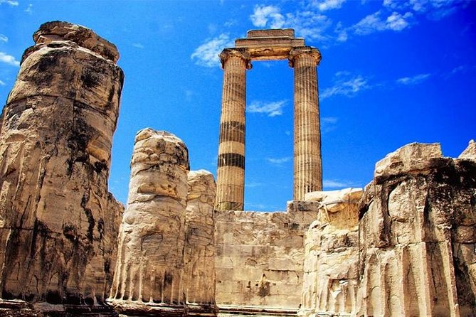 Half-Day Dougga Tour From Tunis or Hammamet - Tour Highlights