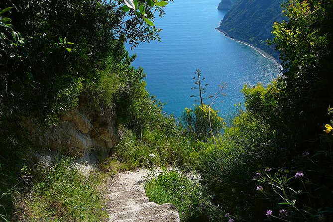 Half-Day East Coast Hike in Ischia Island With Pick-Up - Pick-Up and Transportation Details