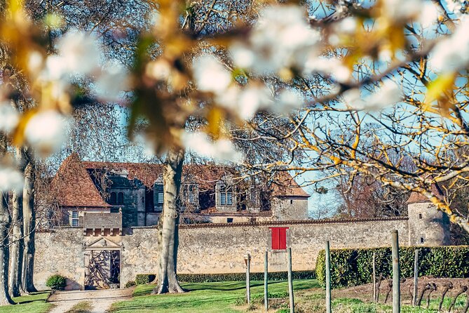 Half-Day Entre-Deux-Mers Vineyard Excursion From Bordeaux - Meeting and Pickup