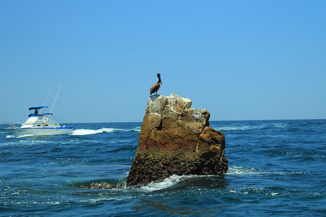 Half-Day Exploring the Arch of Cabo San Lucas Guided Tour - Transportation and Pickup Details