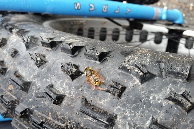 Half Day Fatbike Tour - Wicklow Ballinastoe - Visit to Guinness Lake