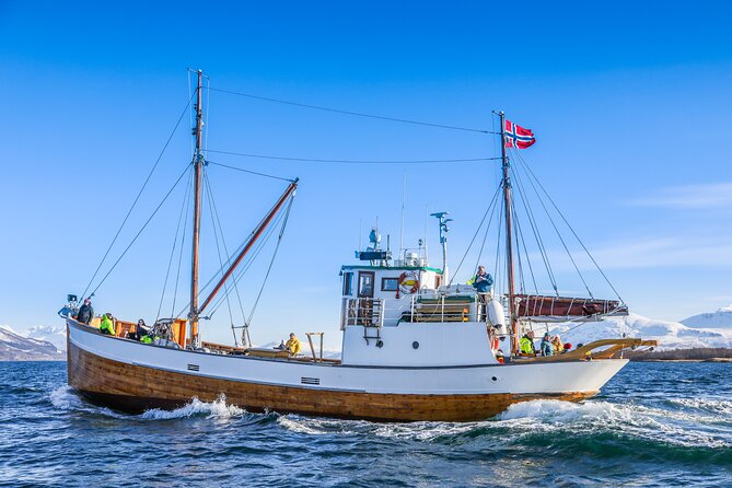 Half-Day Fishing & Fjord Cruise Adventure From Tromsø in Norway - Fishing for Cod