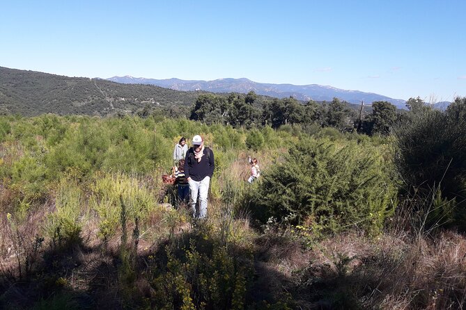 Half Day Gastronomic Wild Walk in Girona - Exploring the Local Food Scene