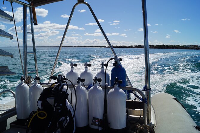 Half-Day Geographe Boat Dive Experience  - Busselton - Dive Experience Overview