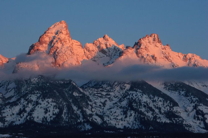 Half-Day Grand Teton Wildlife Private Safari Tour - Tour Details