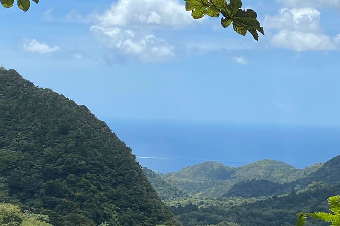 Half Day Grenada Seven Sisters, Grand Etang Nature Center Hiking Tour - Cancellation Policy