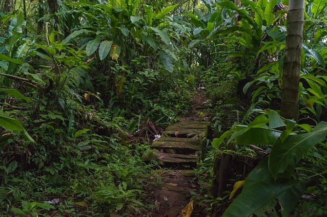 Half Day Grenada Wonders Tour - Traveler Reviews