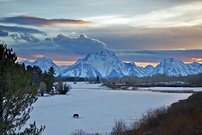 Half Day Group Sunrise Wildlife Safari - Cancellation Policy