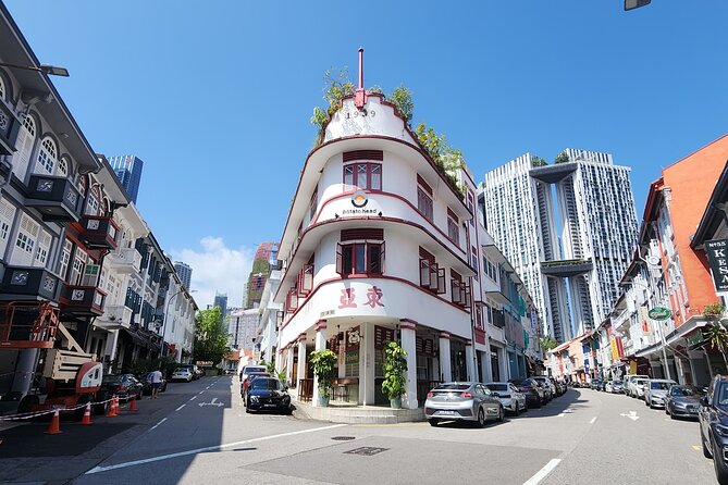 Half-Day Guided Historical Limousine Tour in Singapore - Cultural Neighborhoods and Heritage Sites