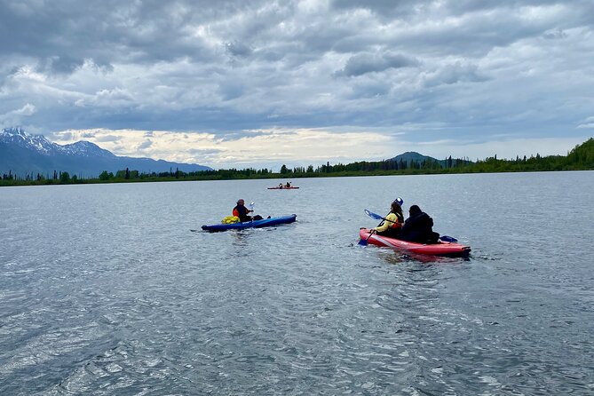 Half-Day Guided Kayak Tour on Knik River - Suitable for Beginners